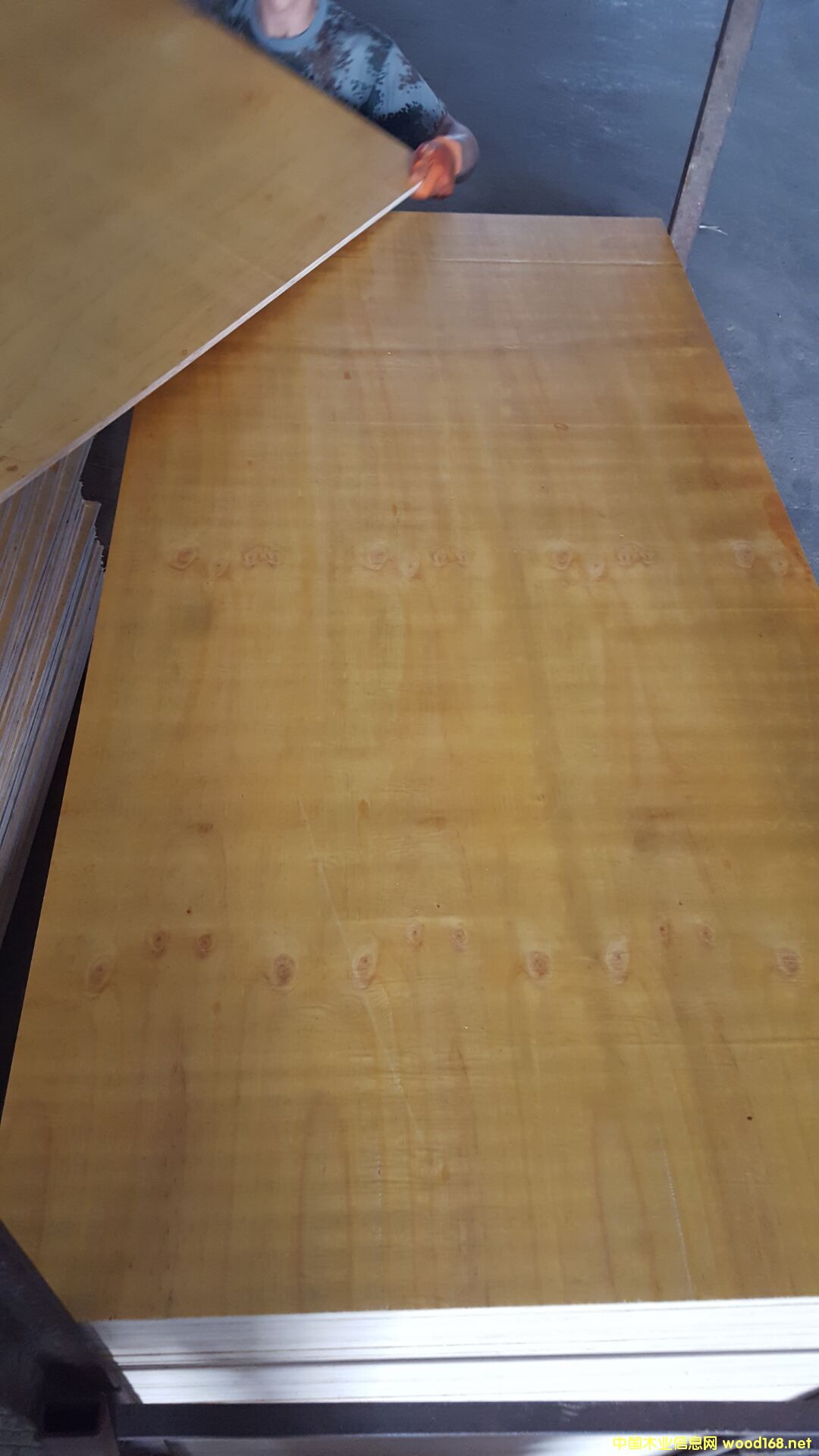 �z���Ԕ��(x��)��B