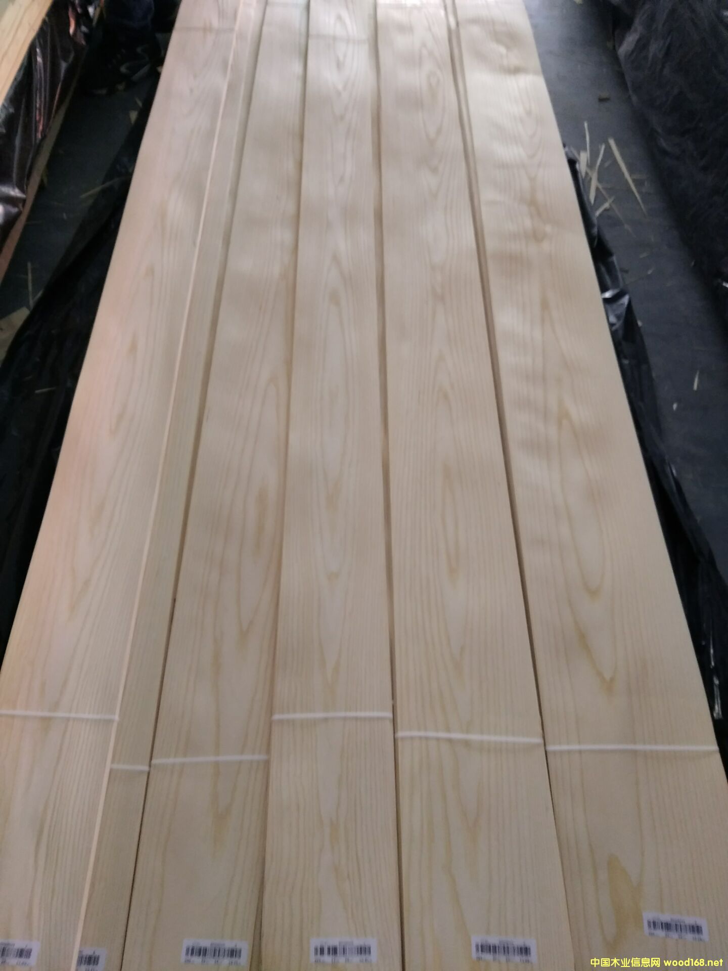 ��˨ɽ�y��Ԕ����B