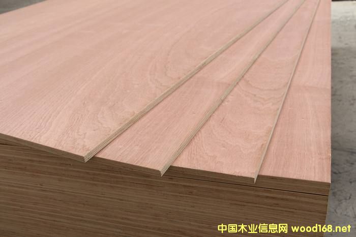 [��] �ٻ��ܶȰ�