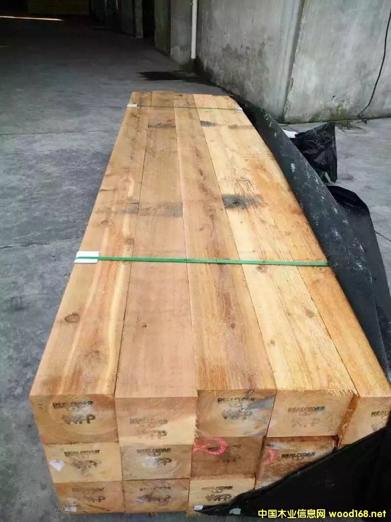 ���ô�tѩ��