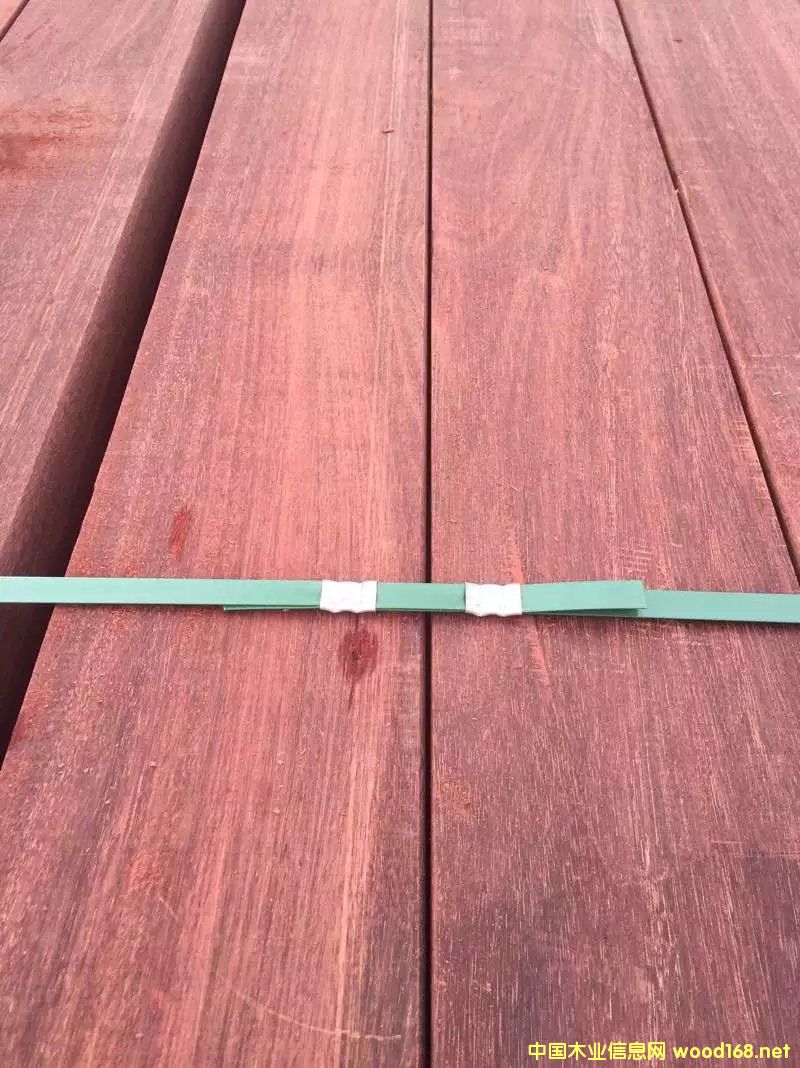 ɽ��ľ��ĵ�Ԕ����B