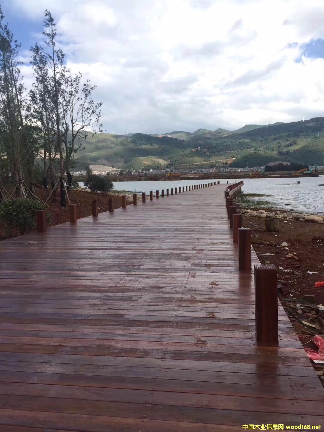 ���������ɷ���ľ��Ԕ����B