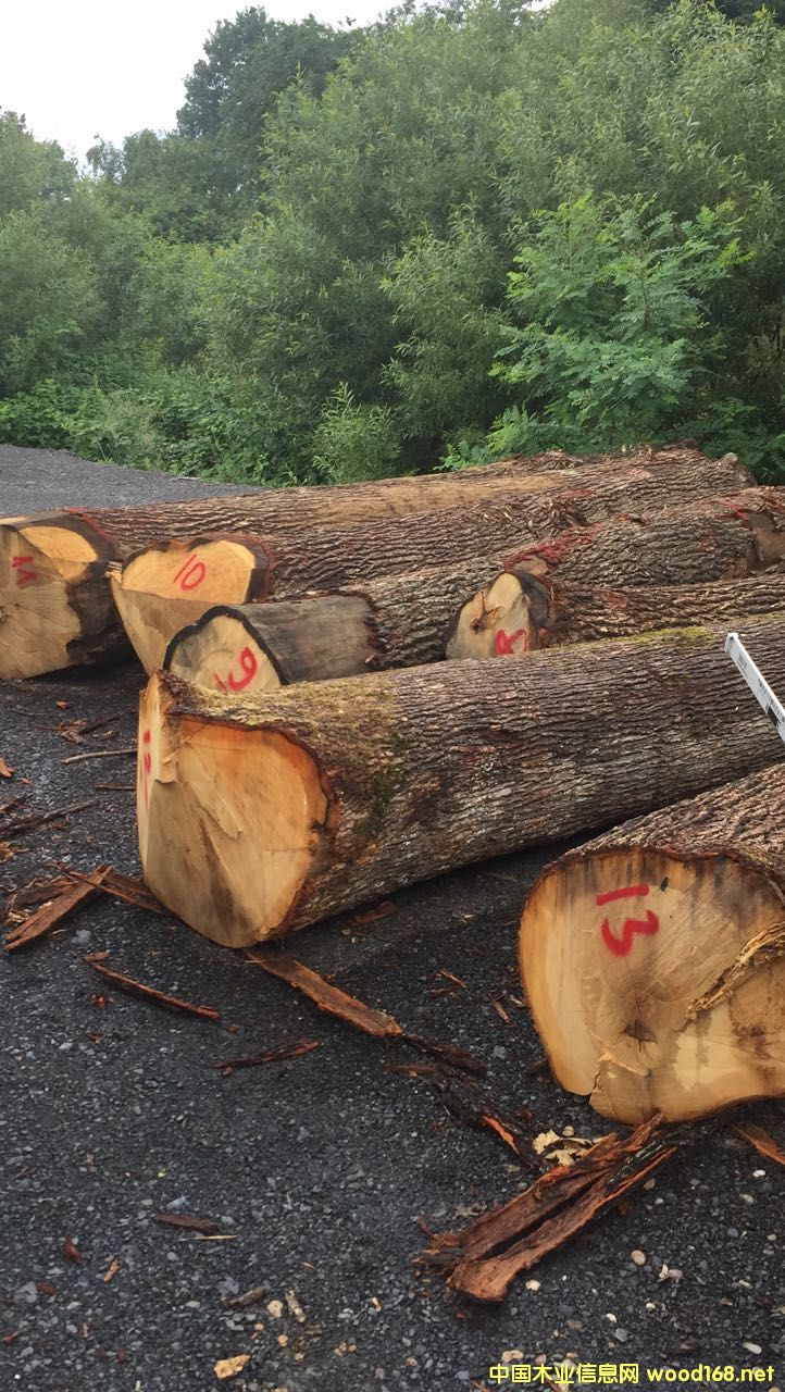 �W����ľԭľ��