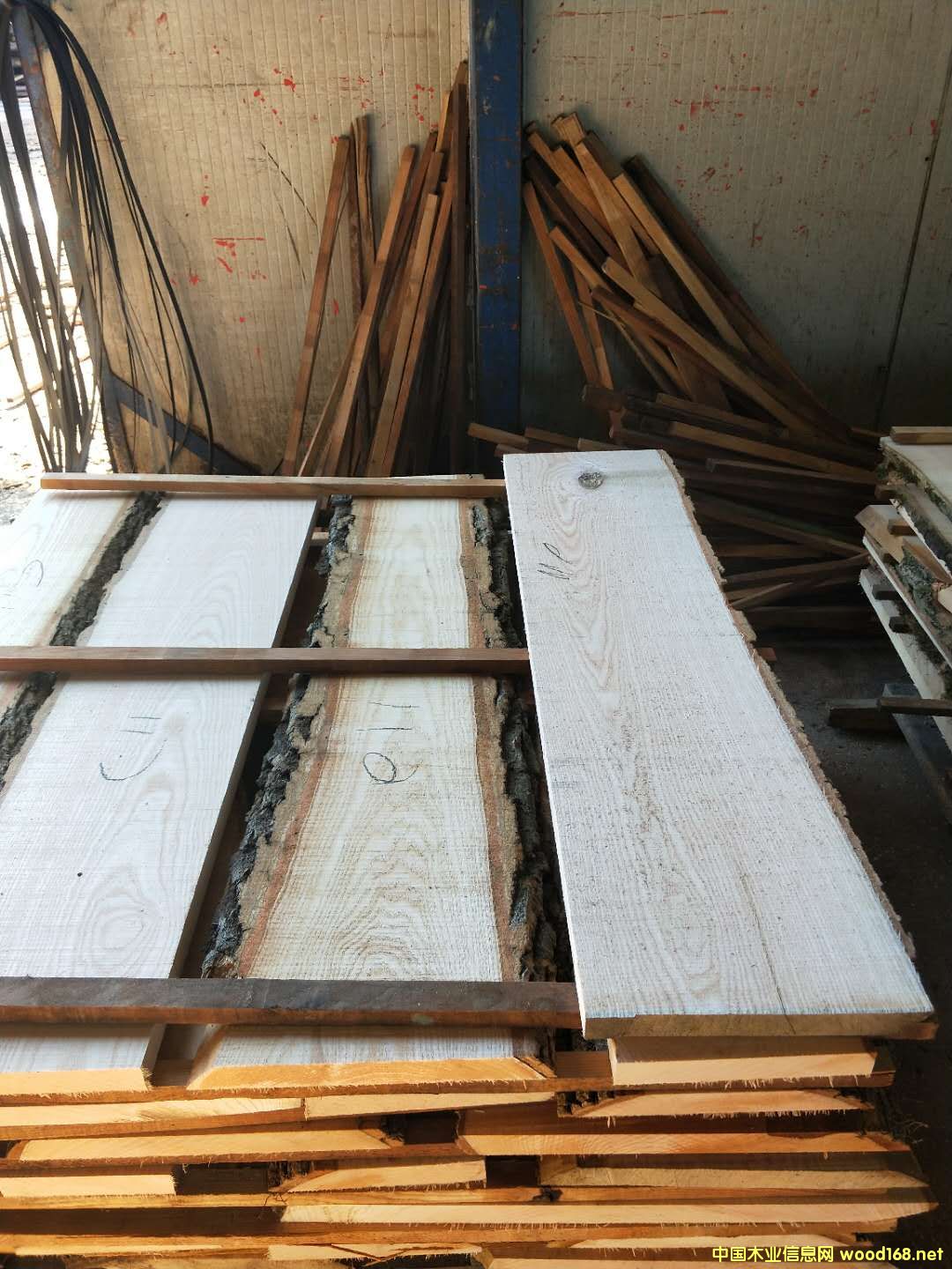 ��Ϟ?z��i)���? title=