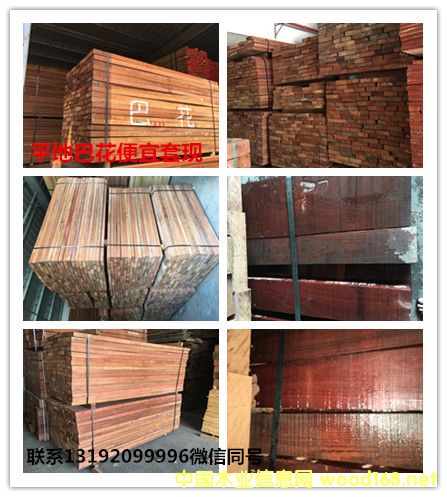 巴花的詳細介紹