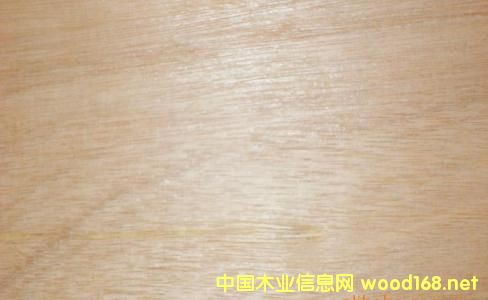 ��ľ����