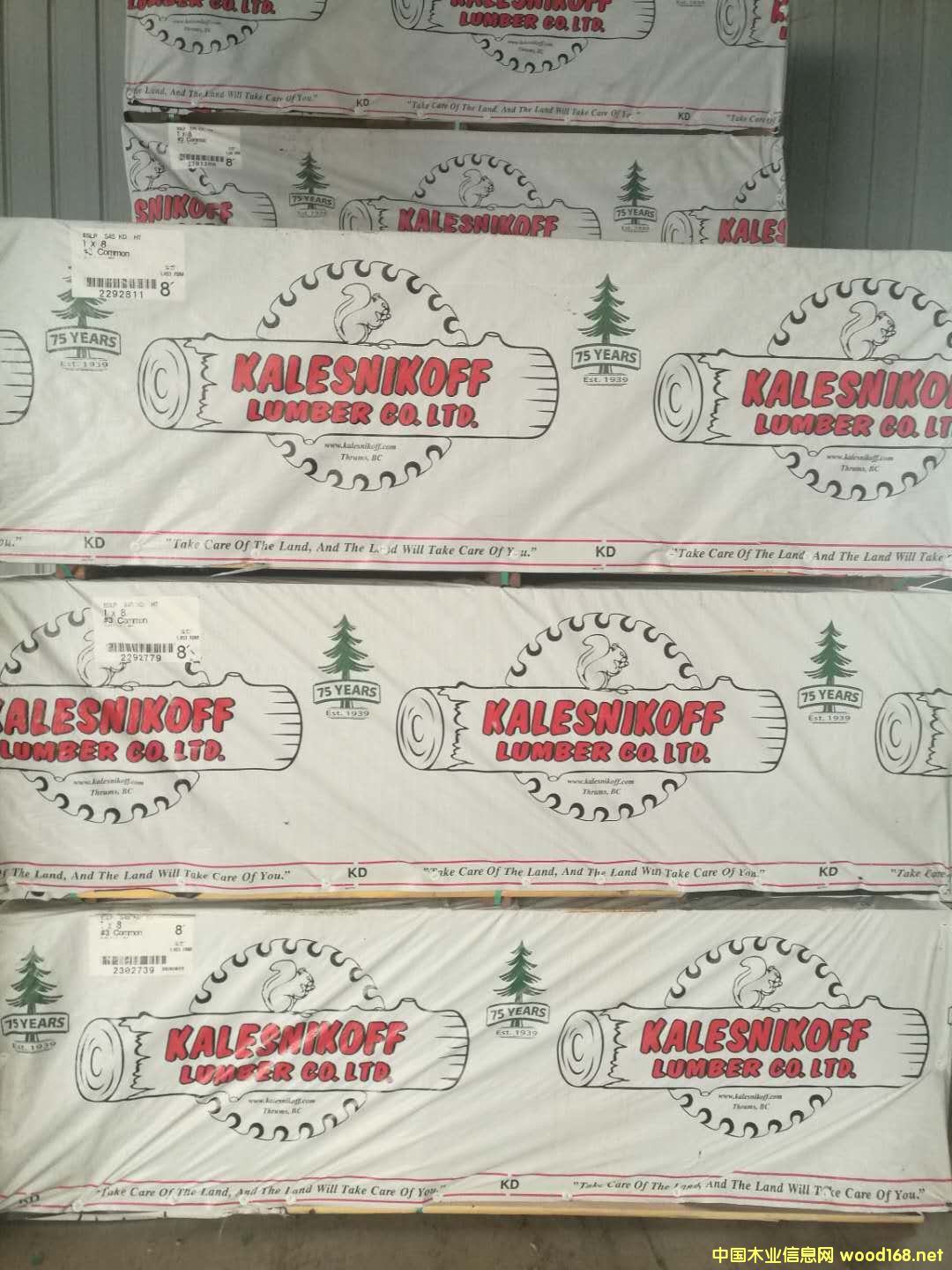 �����ɵ�Ԕ����B