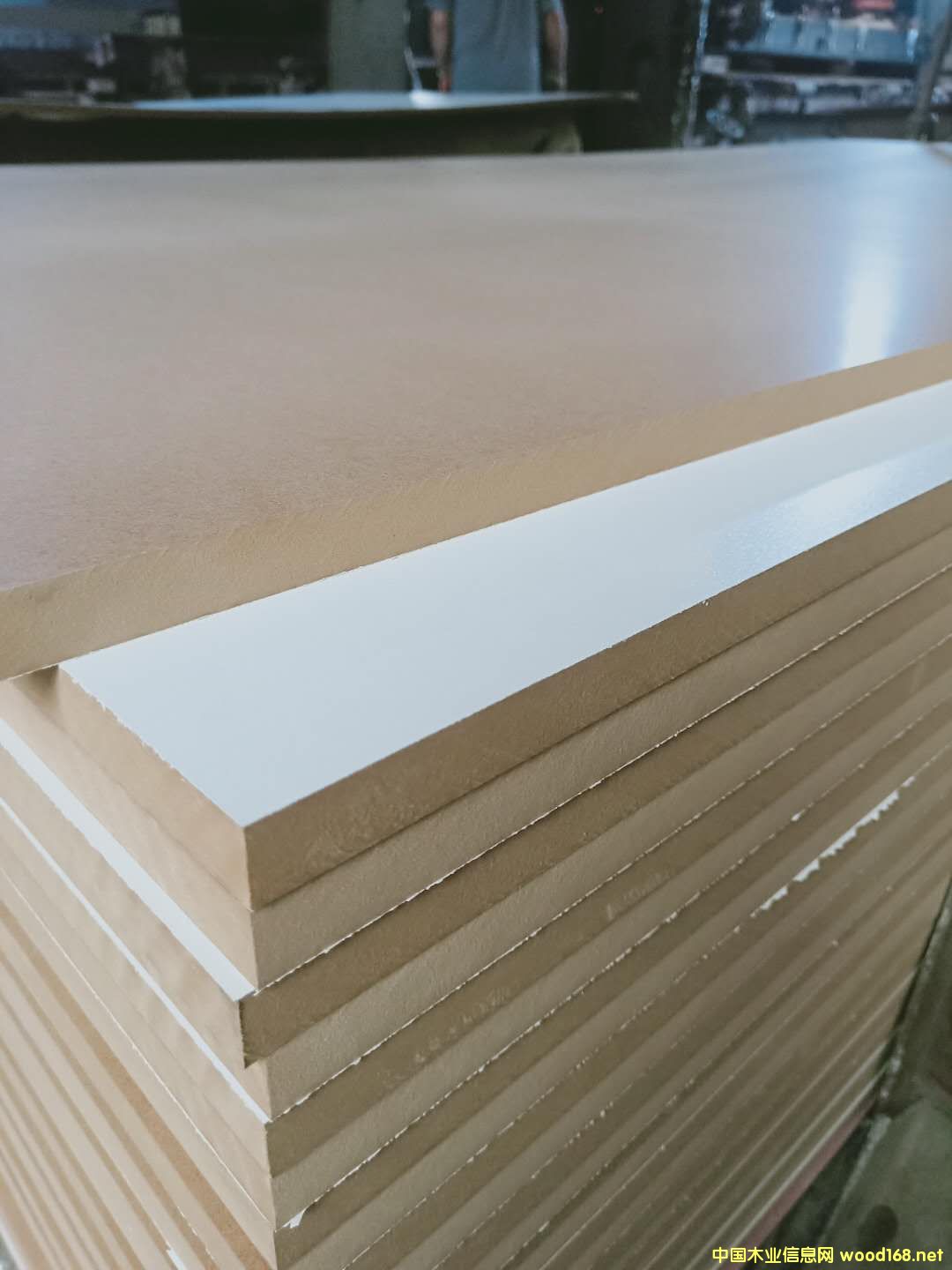 [��] 18MM����� �N���ٻ��塢�ܶȰ�