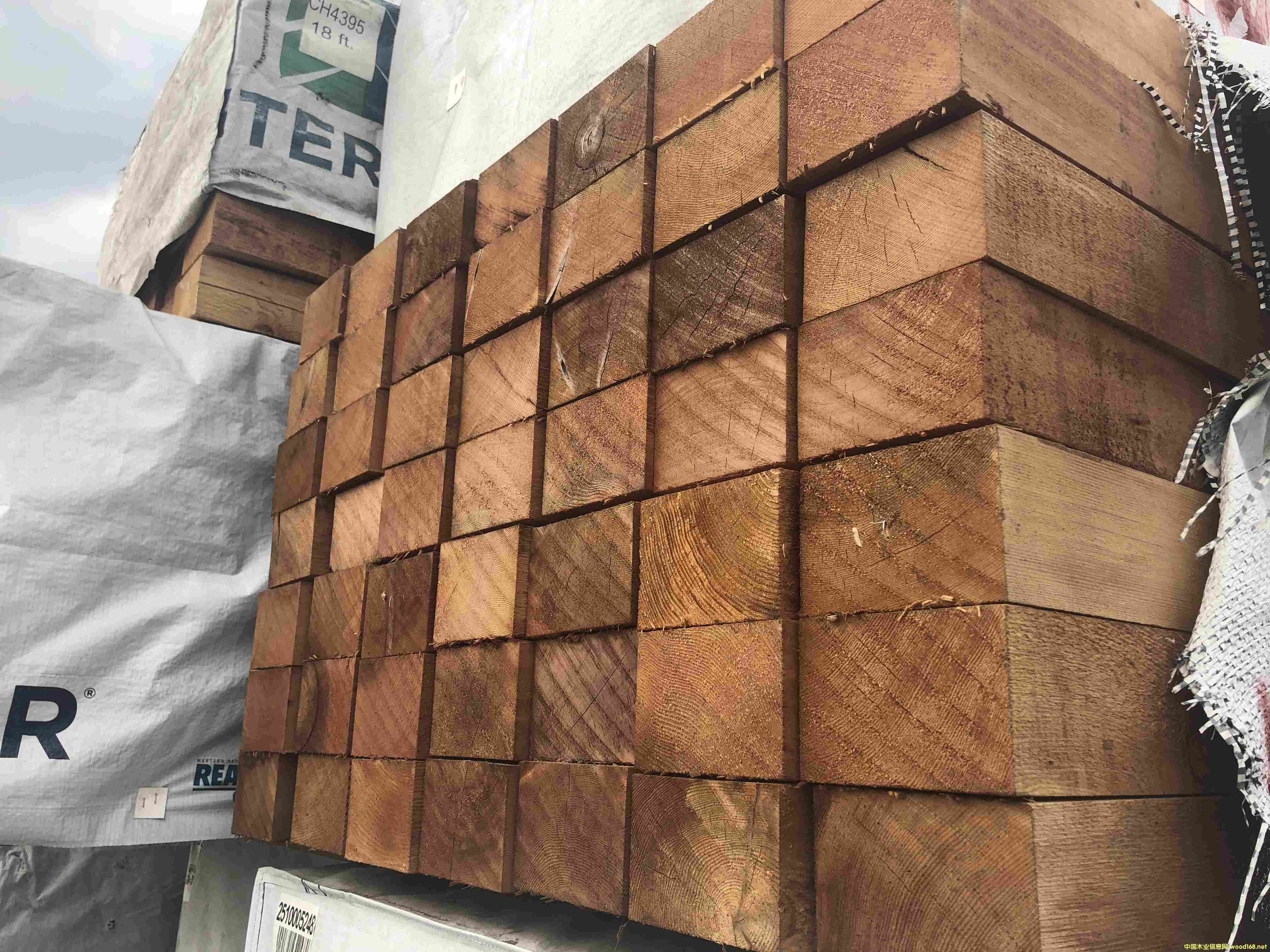 �tѩ�ɒ��  �Ϻ��tѩ�ɏS��