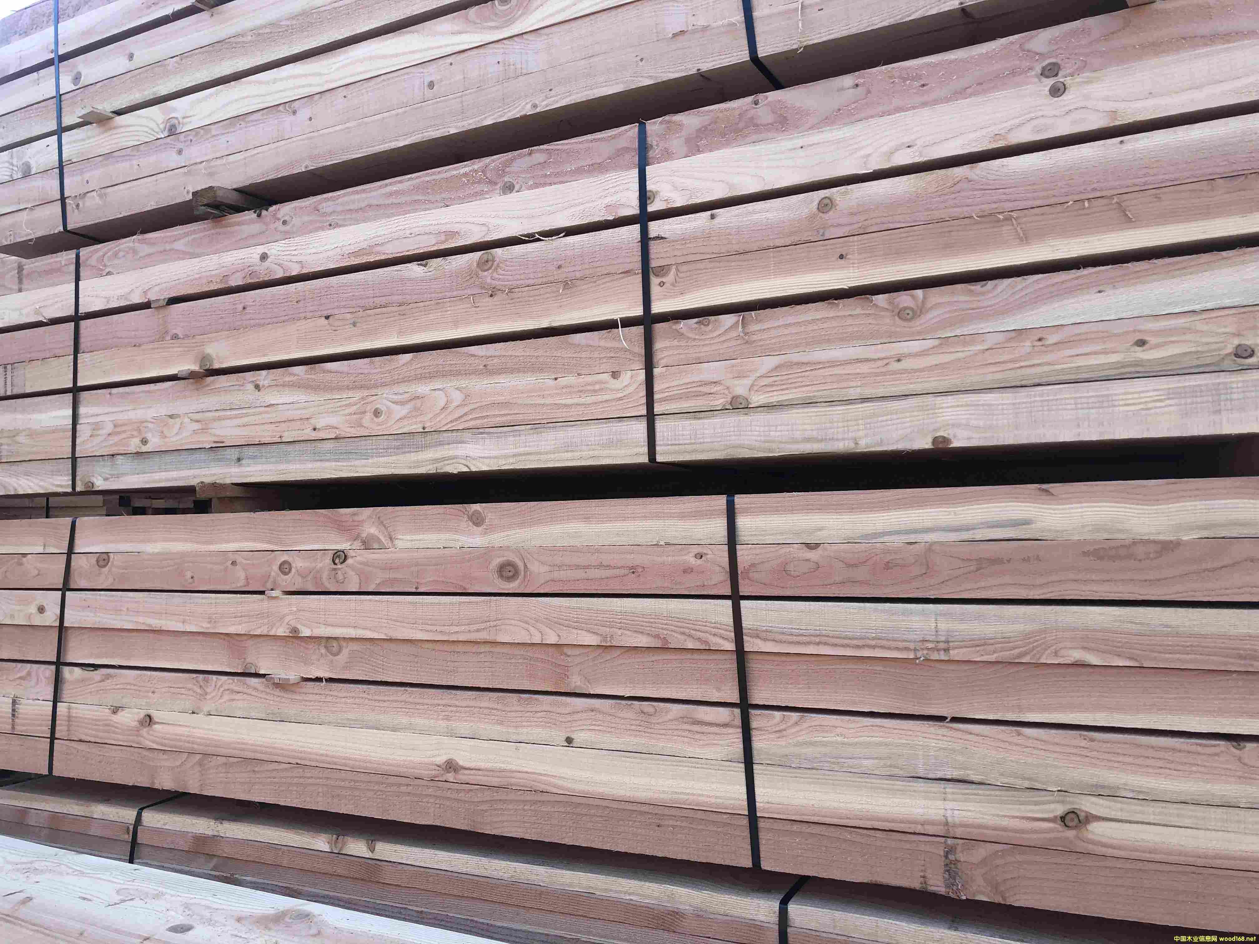 �����ɏS�� �����ɷ�ľ�r(ji��)��