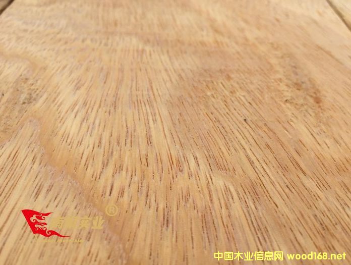 �Ϻ����}��ӹ��S ���޲��}�����l(f��)�r(ji��)��