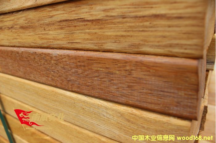 ���}��S�����l(f��)  ���}��������X(qi��n)һ��