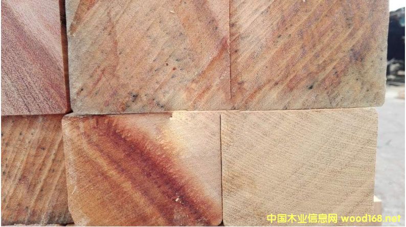 ���޲��}�����l(f��)�r(ji��)�� ���޲��}���(b��o)�r(ji��)