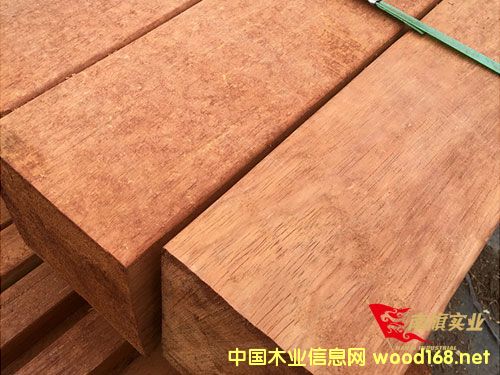 �̈́�ľ�����Xһ�� �Ϻ��̈́�ľ���l(f��)�S��