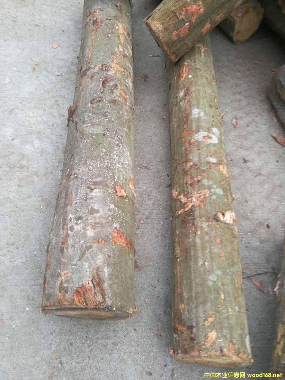 �׿µ�Ԕ��(x��)��B