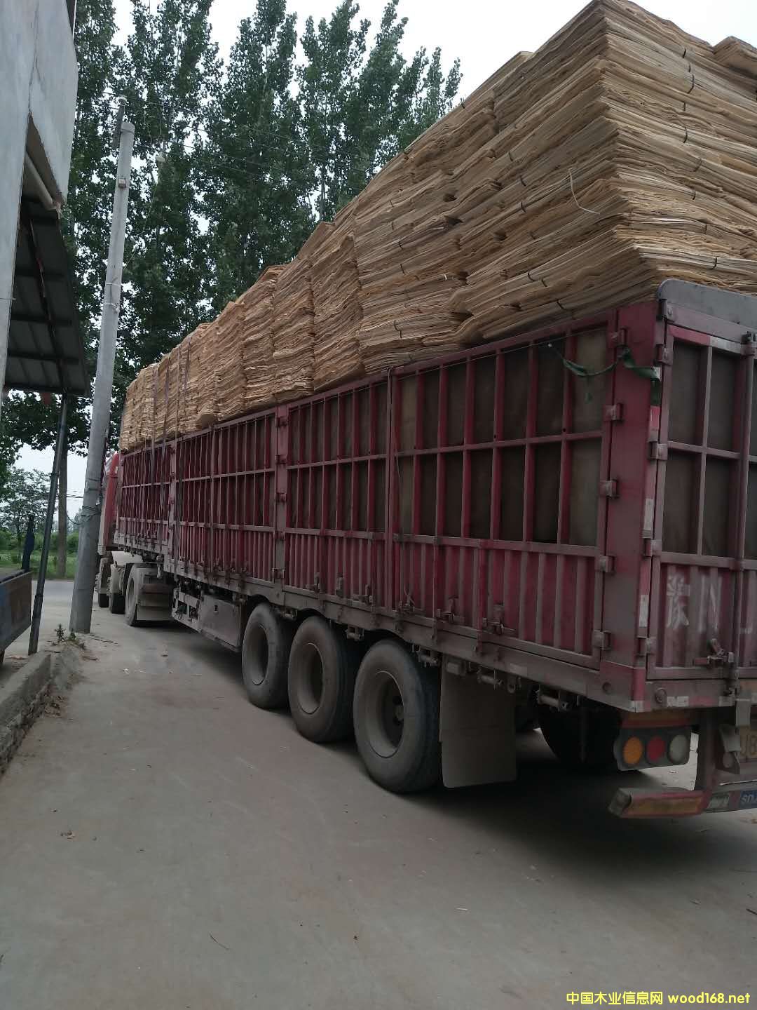 ��ĵ�Ԕ����B