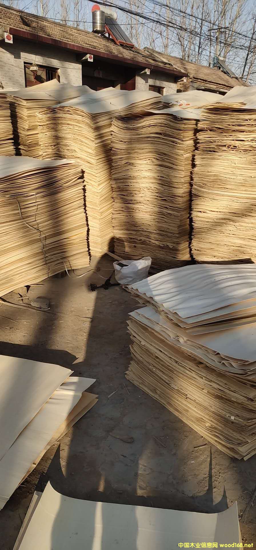 ��ĵ�Ԕ����B