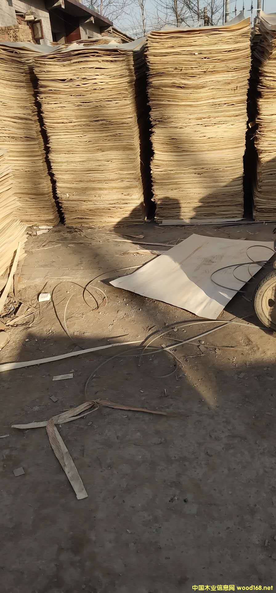 ��ĵ�Ԕ����B