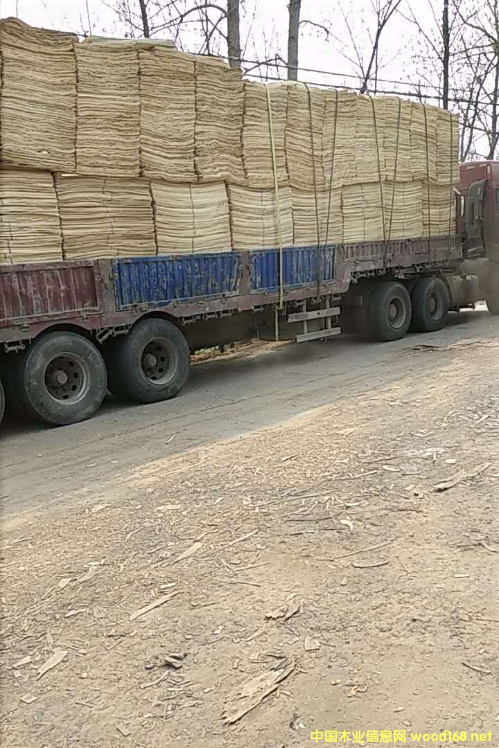 ��ĵ�Ԕ����B