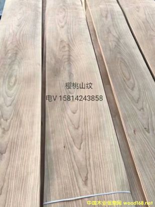 ��(y��u)�|(zh��)��Ȼ����ɽ�yľƤ