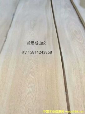 ��(y��u)�|(zh��)��Ȼ�S��˹ɽ�yľƤ