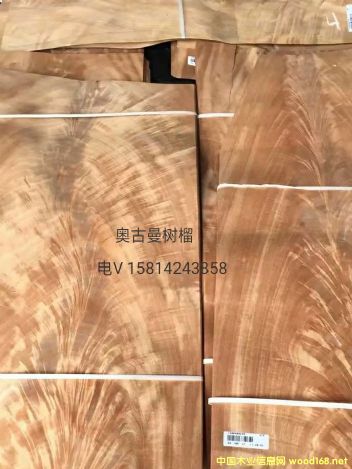 ��(y��u)�|(zh��)��Ȼ�W������(sh��)��ľƤ