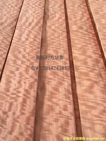 ��(y��u)�|(zh��)��Ȼ���������KӰľƤ