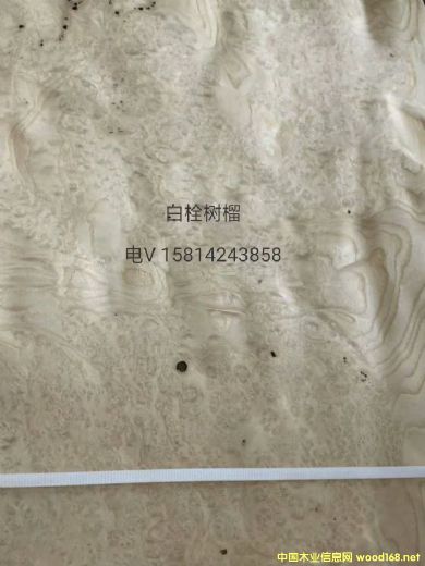 ��(y��u)�|(zh��)��Ȼ��˨��(sh��)��ľƤ