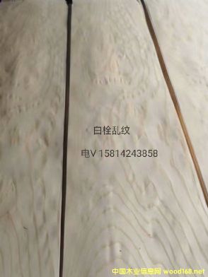 ��(y��u)�|(zh��)��Ȼ��˨�y�yľƤ