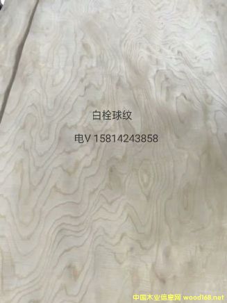 ��(y��u)�|(zh��)��Ȼ��˨��yľƤ