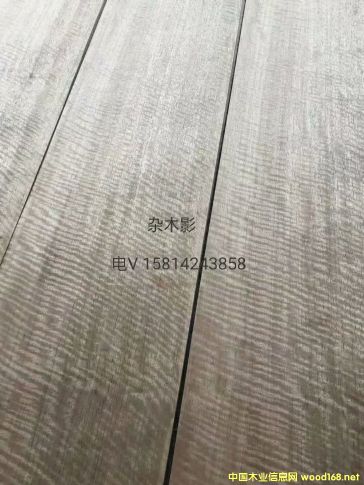 ��(y��u)�|(zh��)��Ȼ�sľӰľƤ