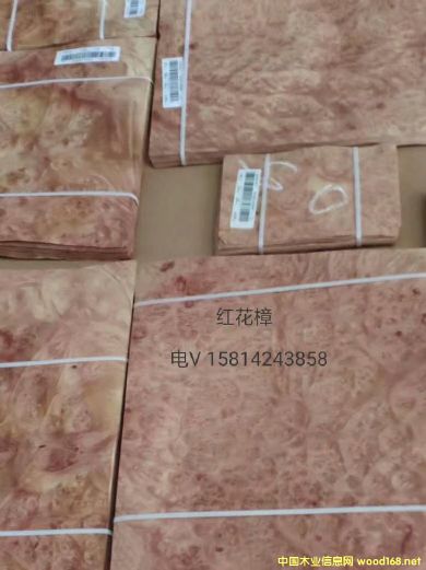 ��(y��u)�|(zh��)��Ȼ�t����ľƤ