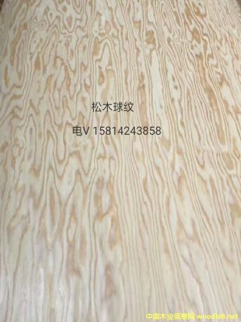 ��(y��u)�|(zh��)��Ȼ��ľ��yľƤ