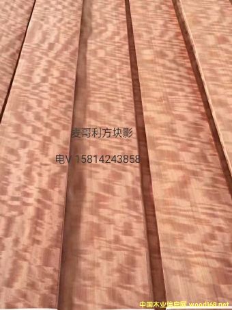 ��(y��u)�|(zh��)��Ȼ���������KӰľƤ