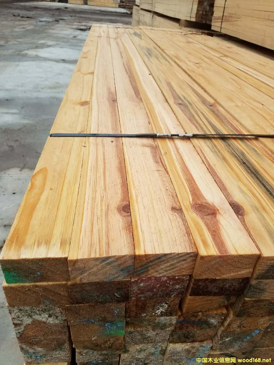 ����ľ����Ԕ��(x��)��B