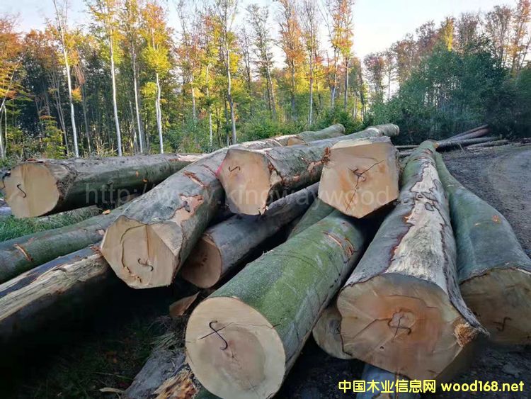 �����W�ޙ�ľԭľAB��(j��)ABC��(j��)