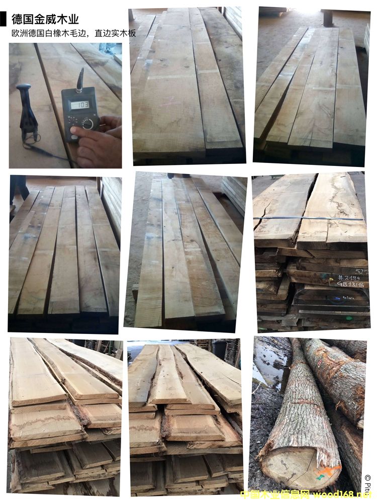 �W�ް���ë߅�� ��(sh��)ľ���Ԕ��(x��)��B