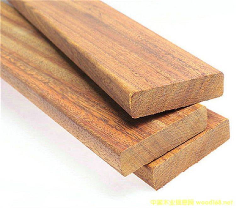 ���޲��}���Ԕ����B