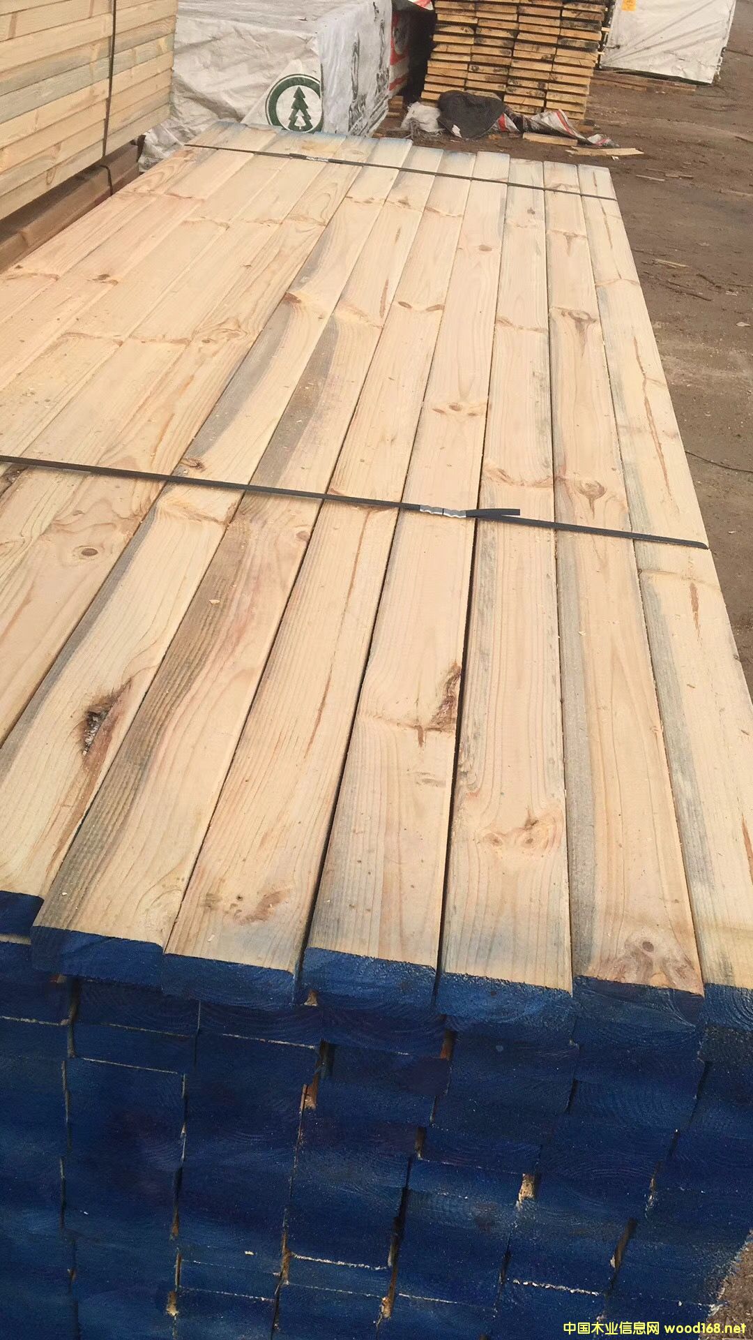 �S��ֱ�N������ľ������ľ��ľ��ӡ��Ž��������b��