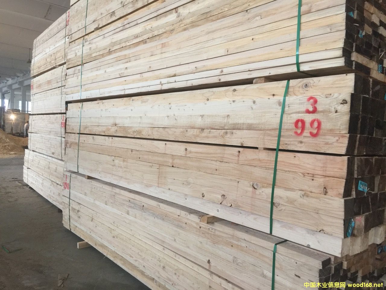 �S��ֱ�N�Fɼľ������ľ��ľ������Ž��ġ����b��