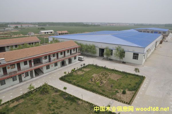 �S����Ԕ��(x��)��B