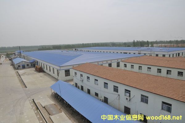 �S����Ԕ��(x��)��B