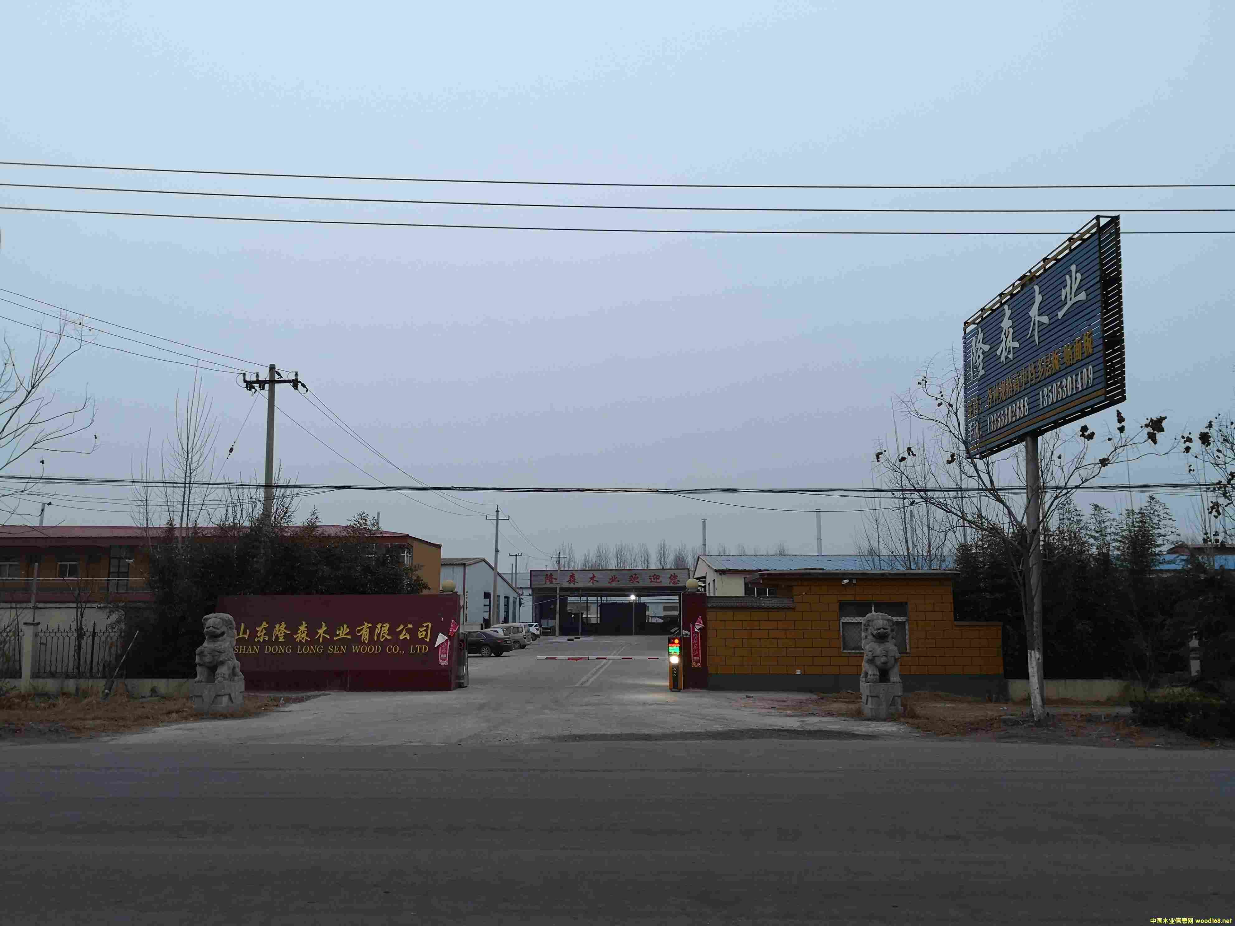 �S����Ԕ��(x��)��B