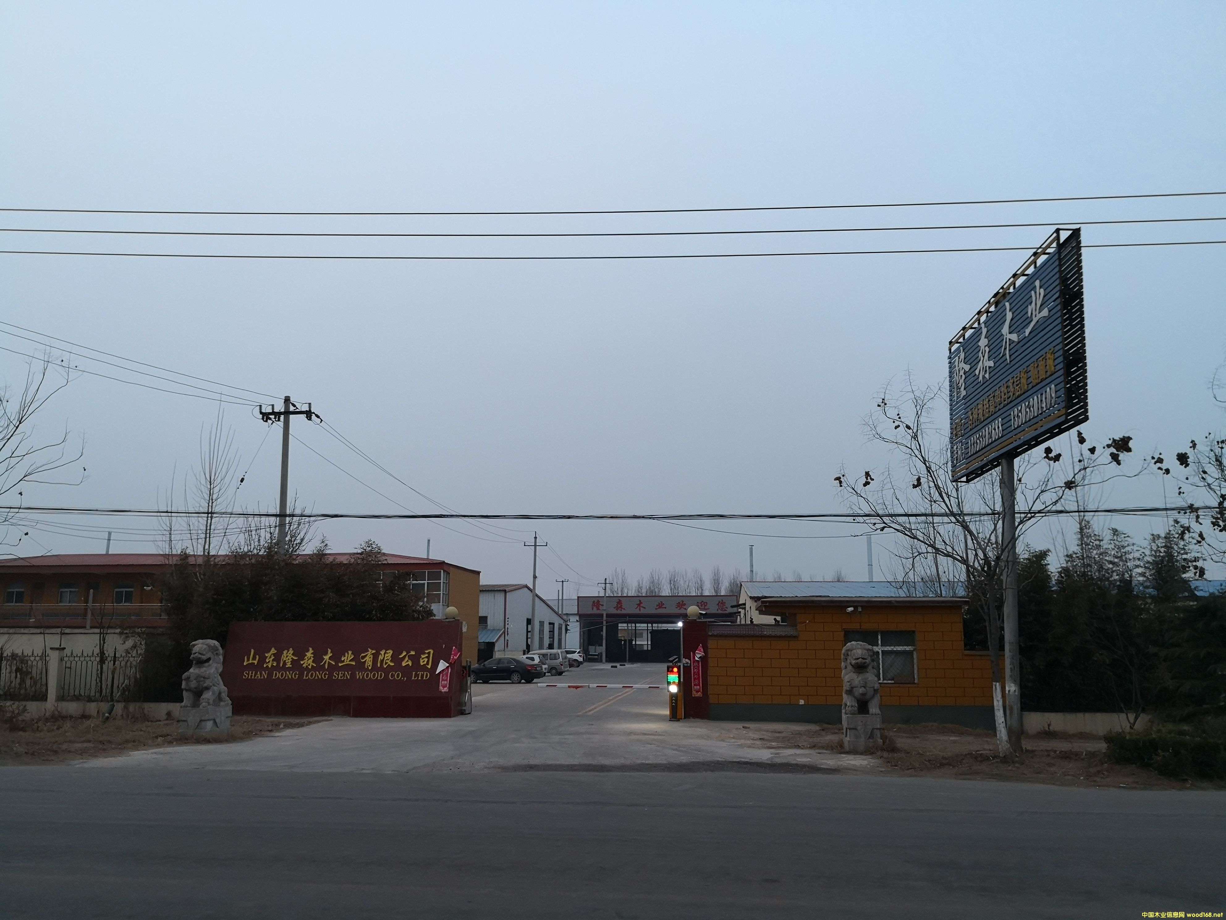 �S����Ԕ��(x��)��B