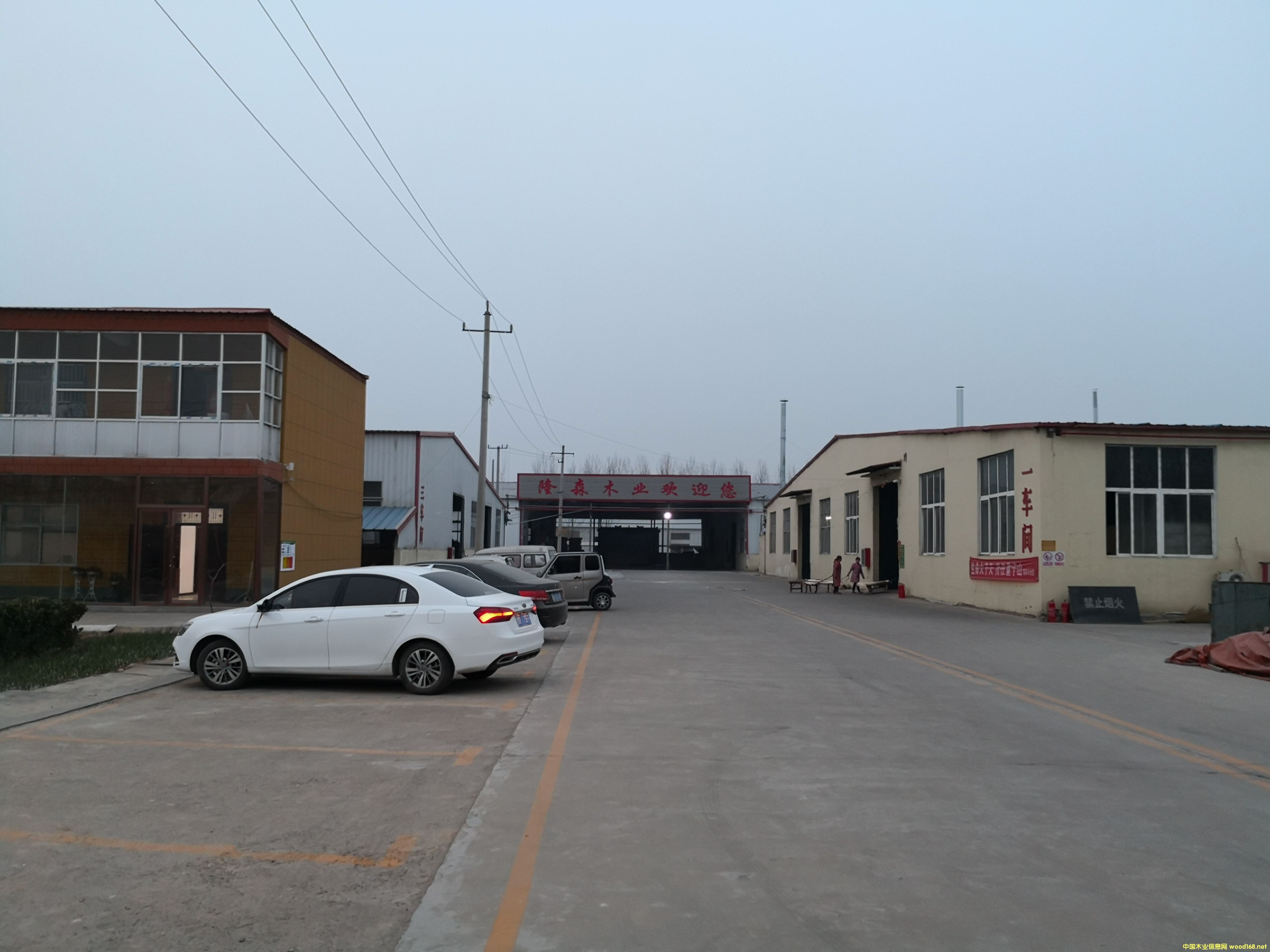 �S����Ԕ��(x��)��B