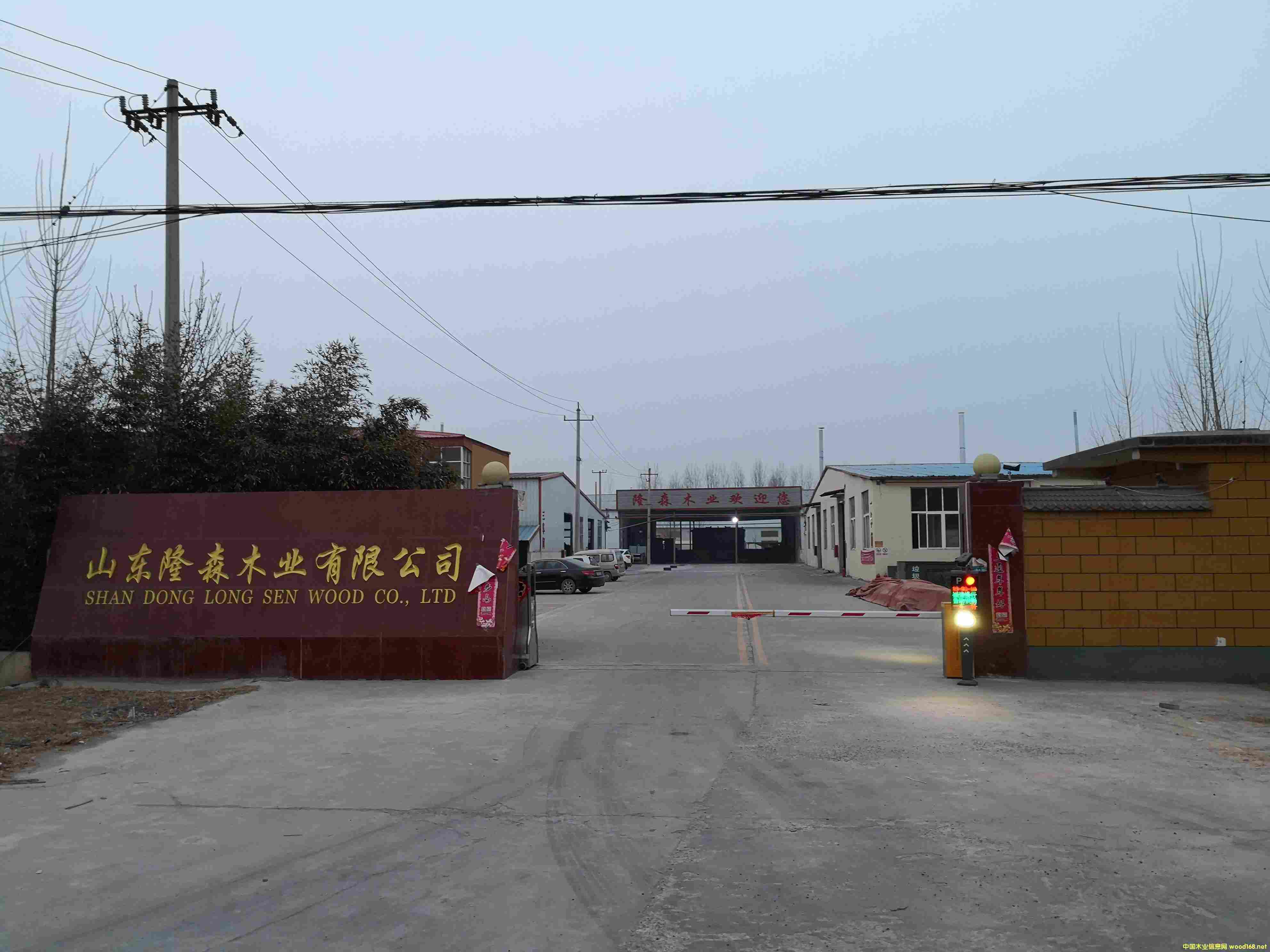 �S����Ԕ��(x��)��B