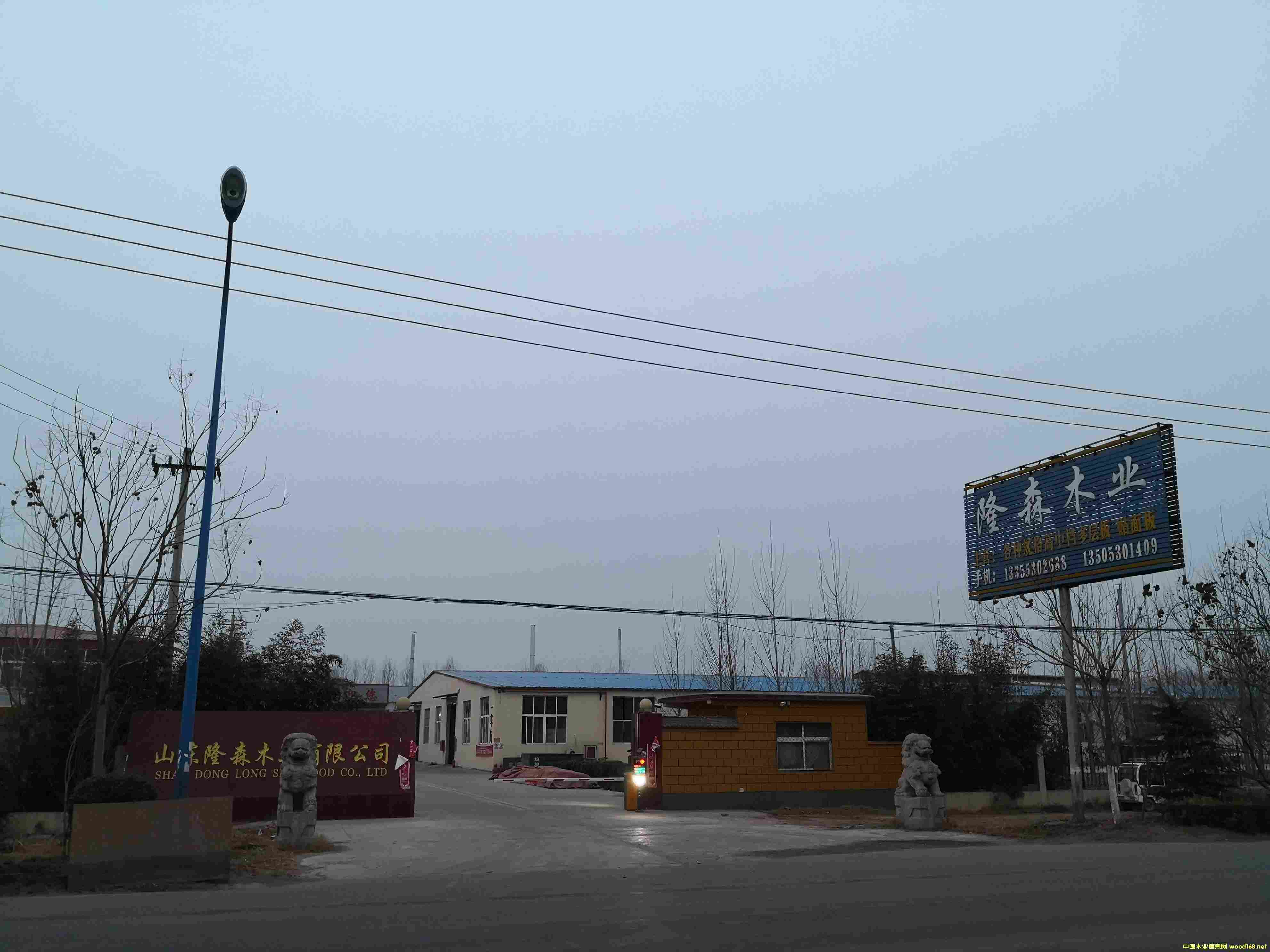 �S����Ԕ��(x��)��B