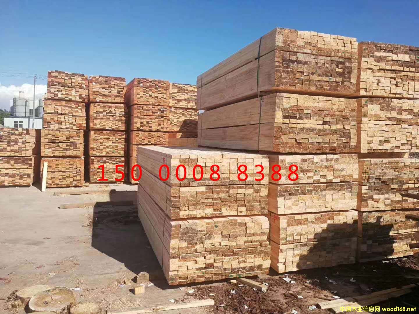 ���ձ��ɵ�Ԕ��(x��)��B