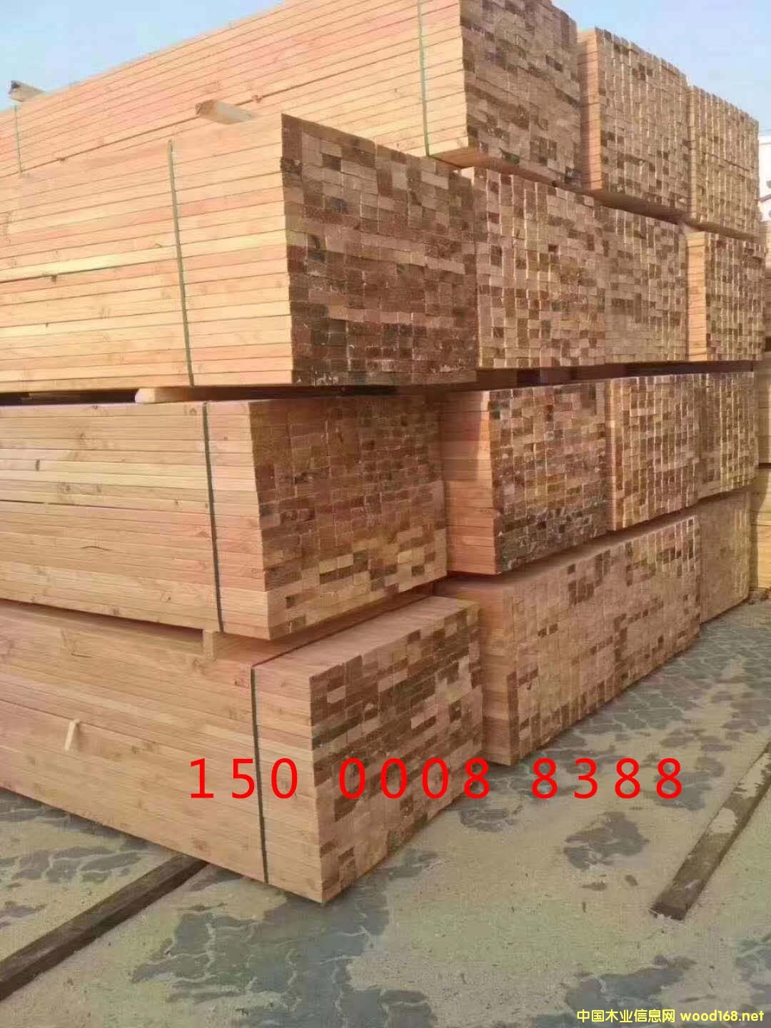 ���ɵ�Ԕ��(x��)��B