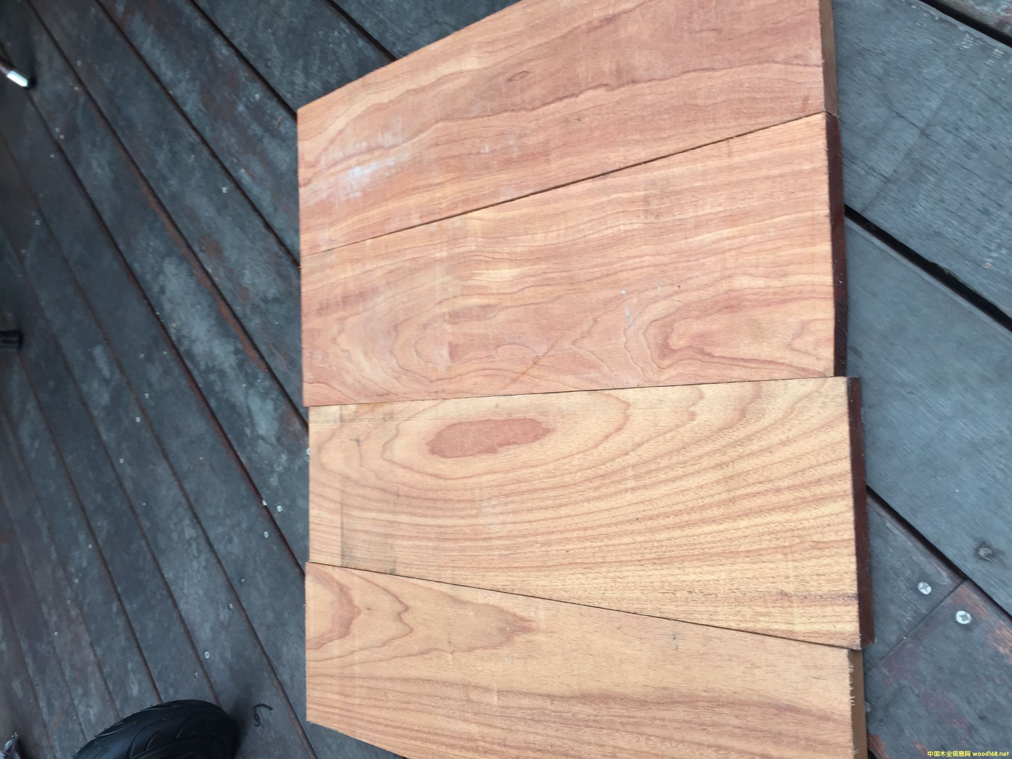 �׃��������֦��